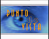 Punto de vista